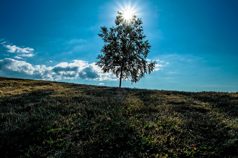 ロジカルシンキング 就活で活かせるロジックツリー自己分析法とは